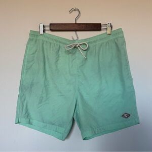 PacSun Men's Mint Green Swim Shorts Trunks Size Large